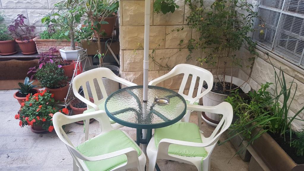 Private courtyard with table among the plants